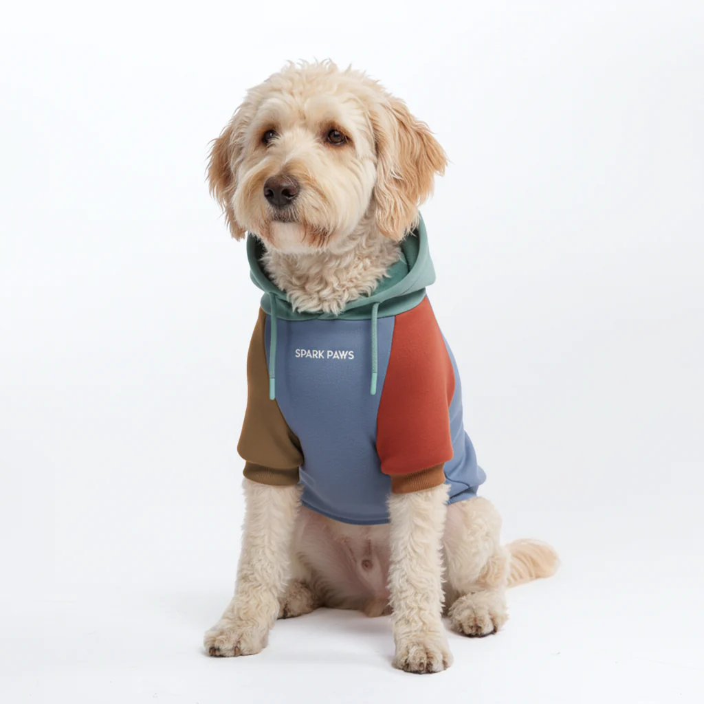 Felpa con cappuccio color block per cani - Image 29