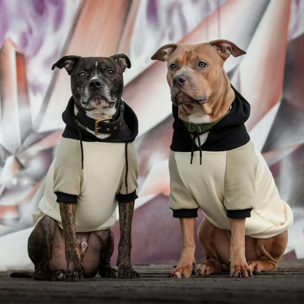 Maglione per Cani - Crema d'oliva - Image 13