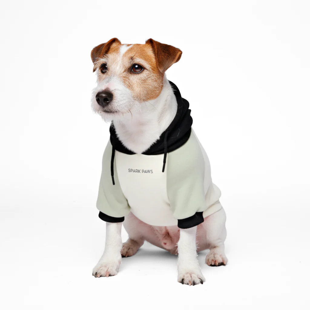 Maglione per Cani - Crema d'oliva - Image 4