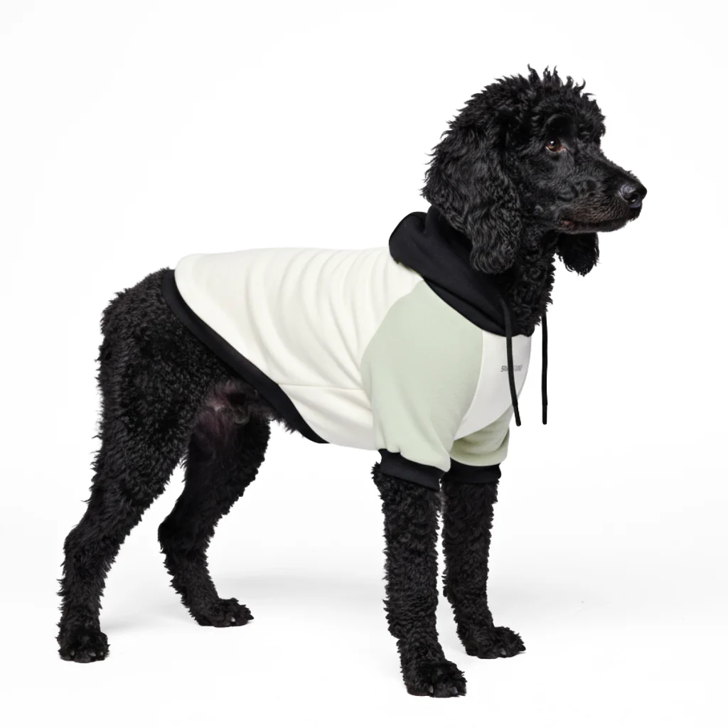 Maglione per Cani - Crema d'oliva - Image 6