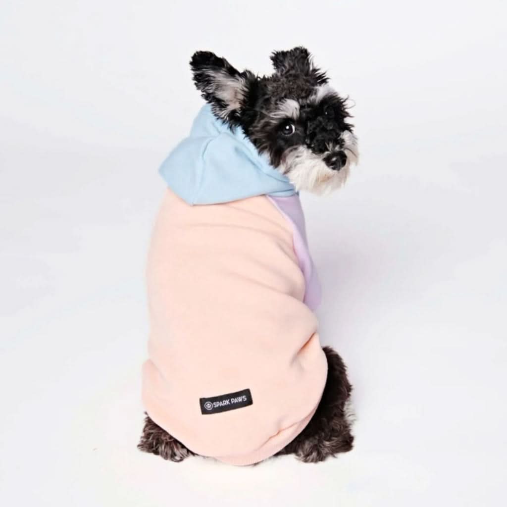 Maglione per Cani - Zucchero filato - Image 10