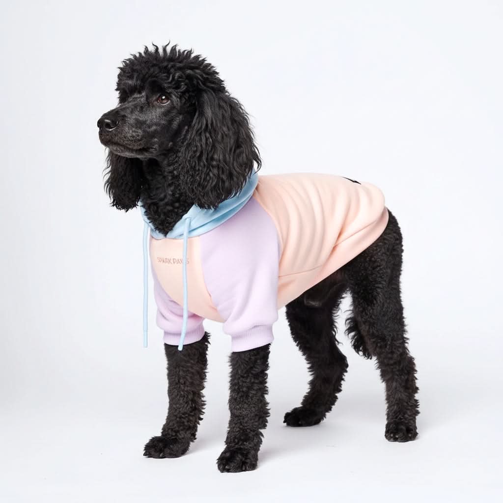 Maglione per Cani - Zucchero filato - Image 5
