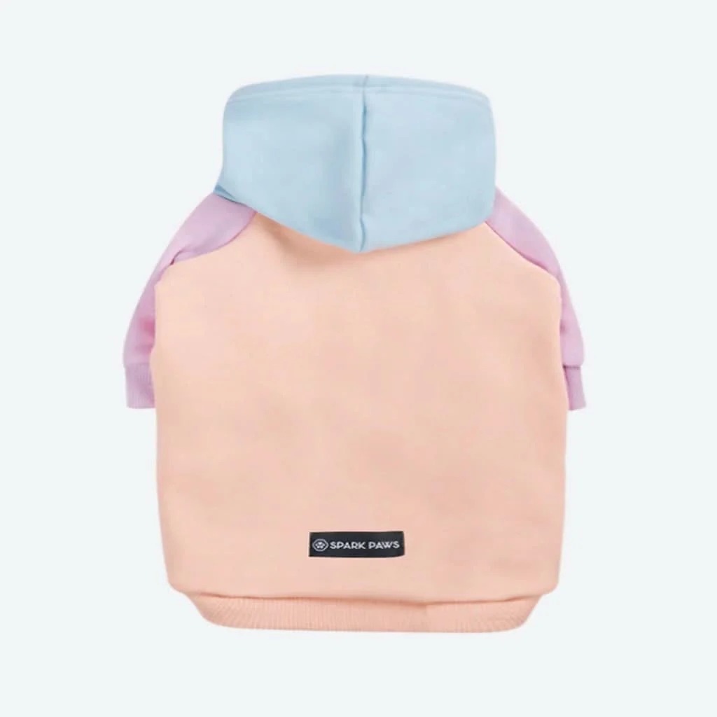 Maglione per Cani - Zucchero filato - Image 9