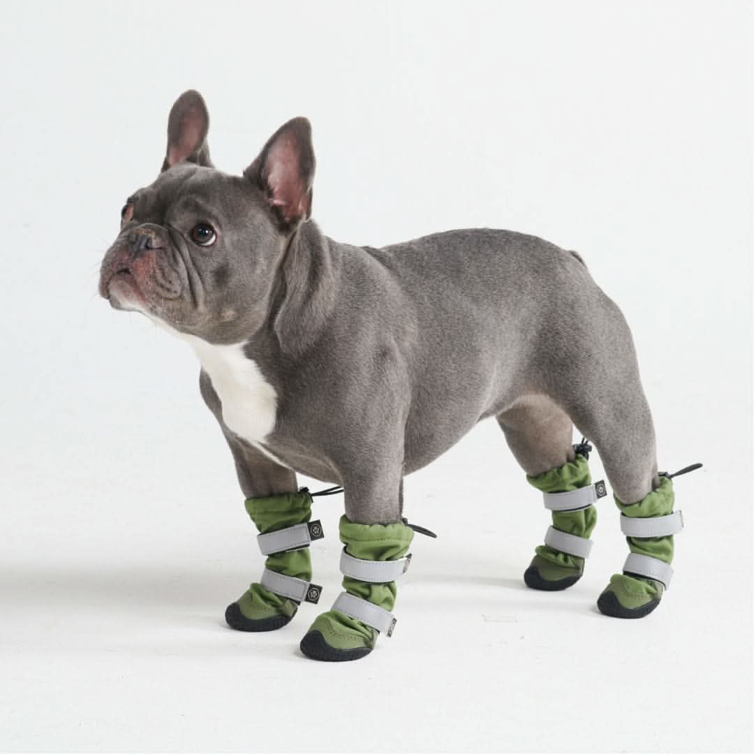 Stivali per cani Flex Shell impermeabili - Image 11