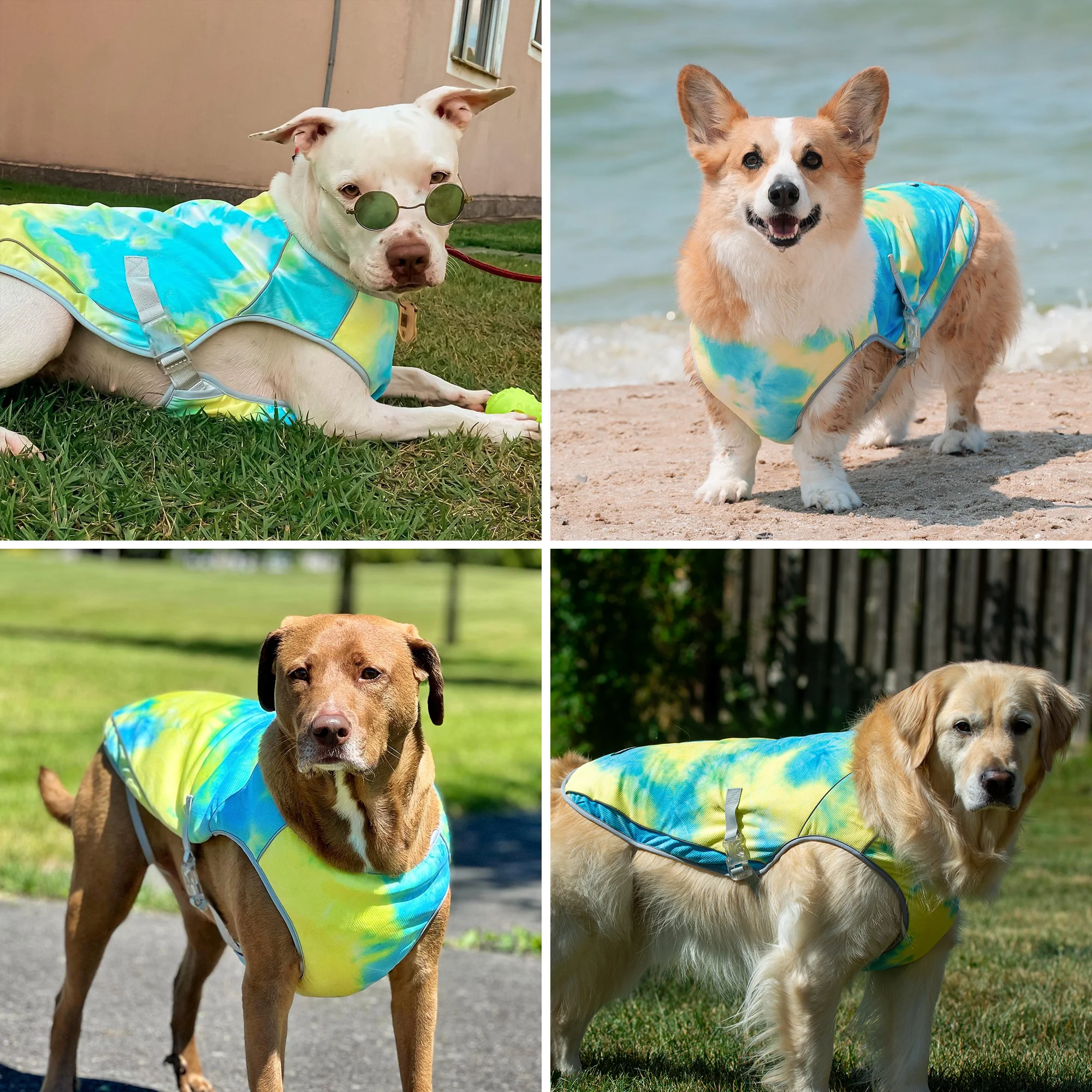 Gilet di raffreddamento per cani - Tempesta tropicale - Image 9