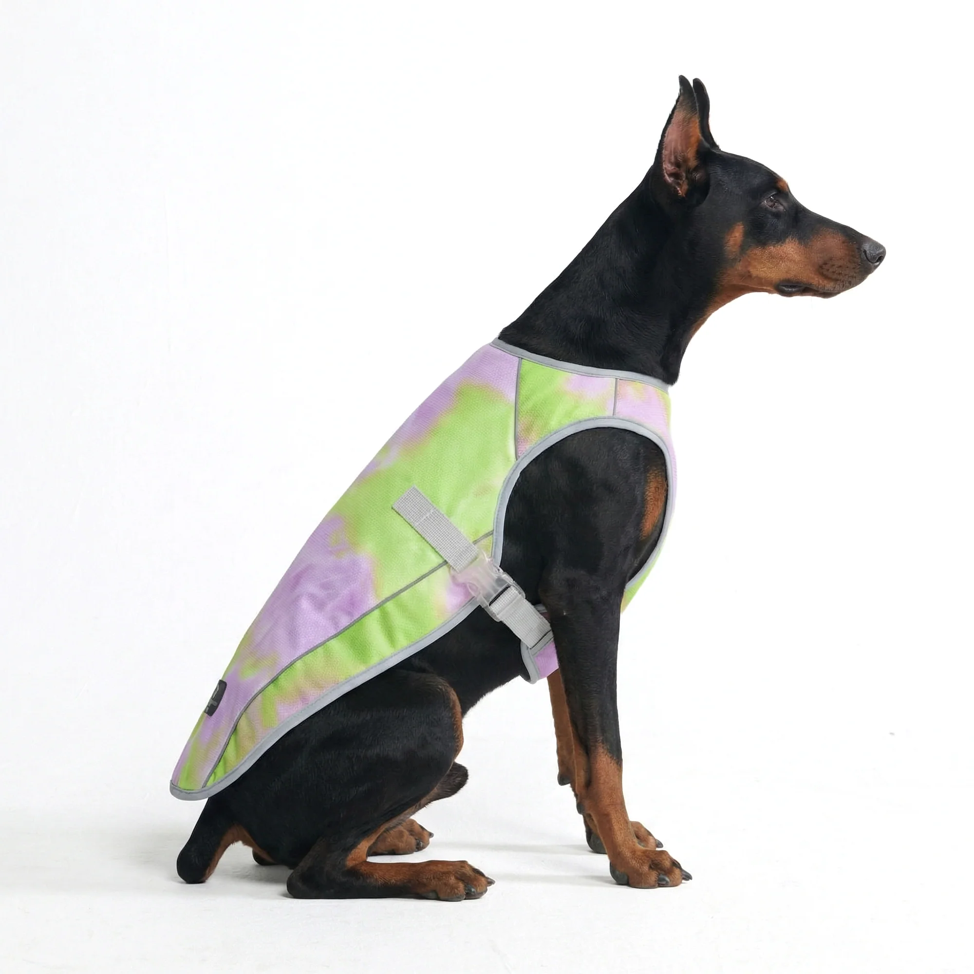 Gilet di raffreddamento per cani - Cono di neve - Image 4