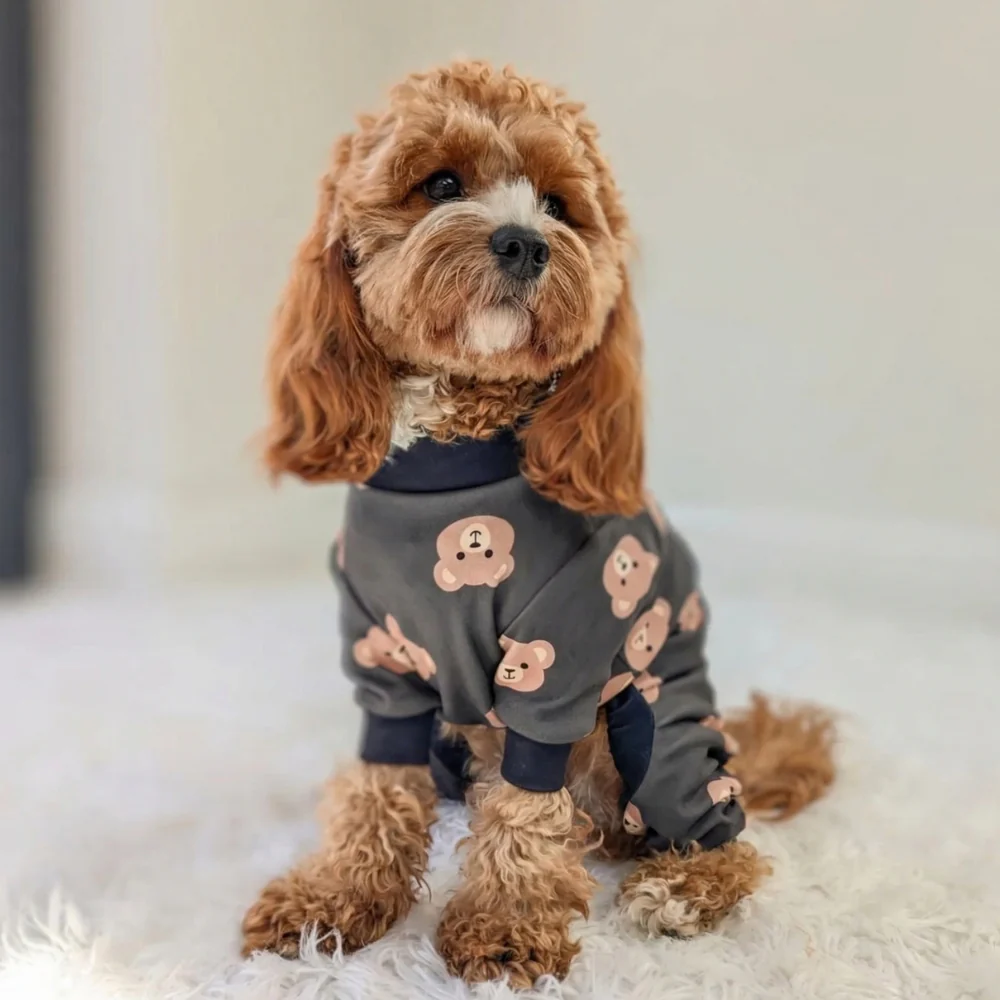 Pigiama per Cani - Orso Nero - Image 12