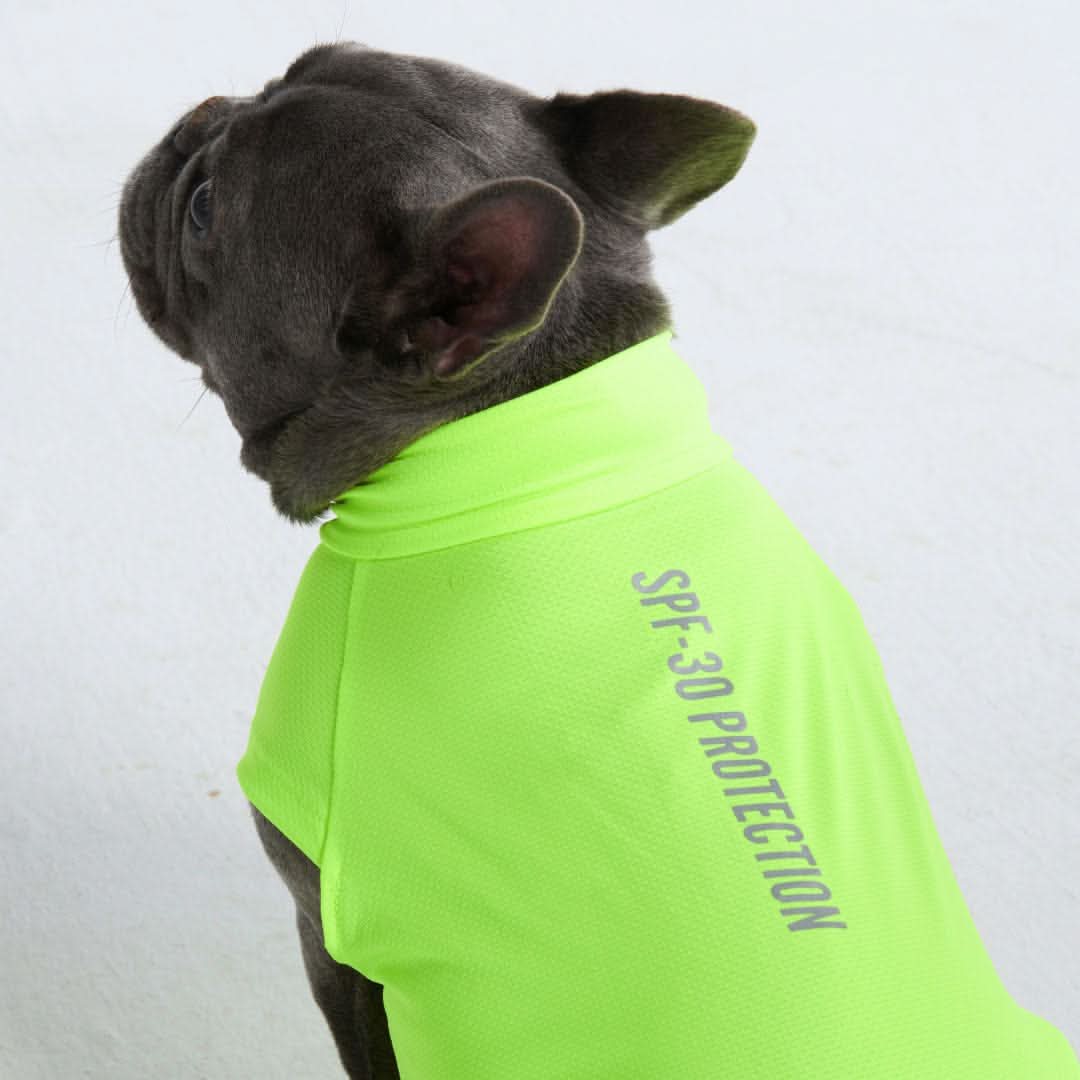 Maglietta per cani Sunblock - Neon - Image 3