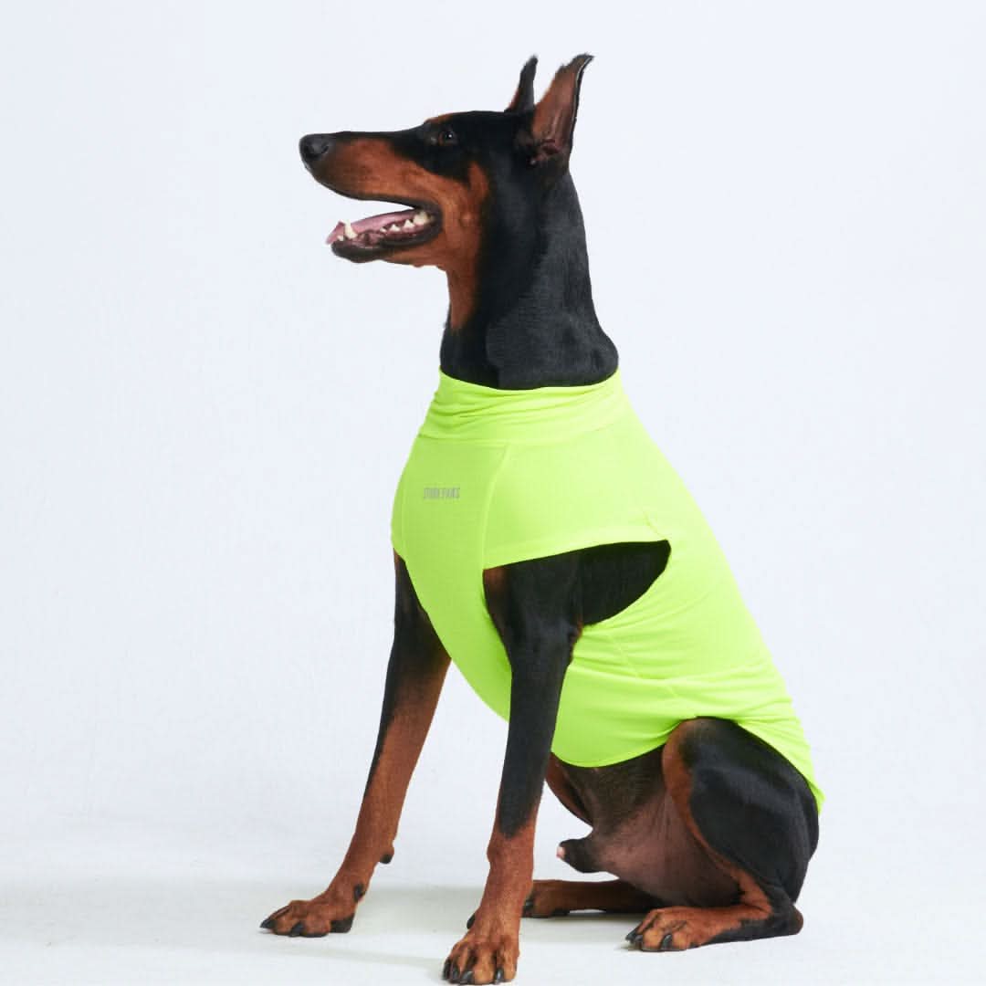 Maglietta per cani Sunblock - Neon - Image 6