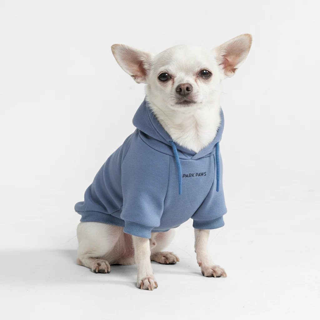 Maglione Essenziale per Cani - Blu Ardesia - Image 2