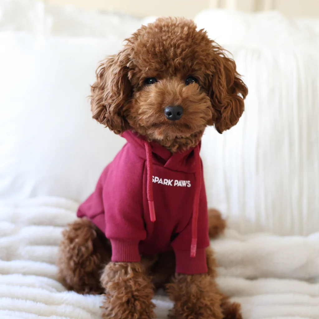 Maglione Essenziale per Cani - Bordeaux - Image 12