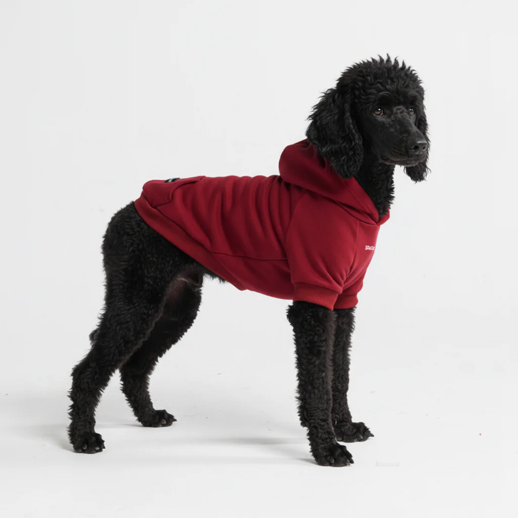 Maglione Essenziale per Cani - Bordeaux - Image 6