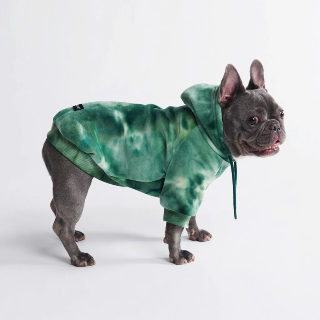 Maglione in Velluto per Cani - Verde Smeraldo - Image 4