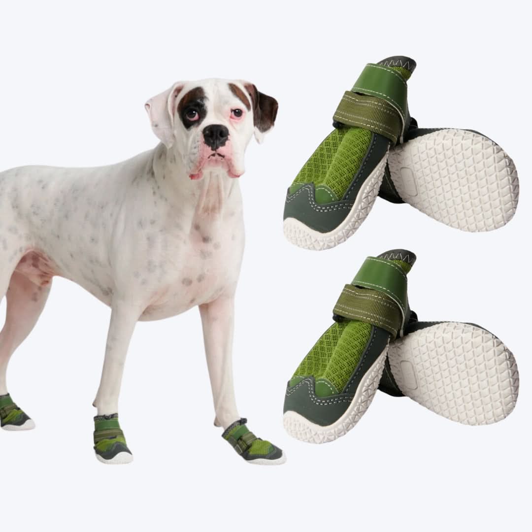 Scarpe per cani Hot Pavement Pawtector - Image 14