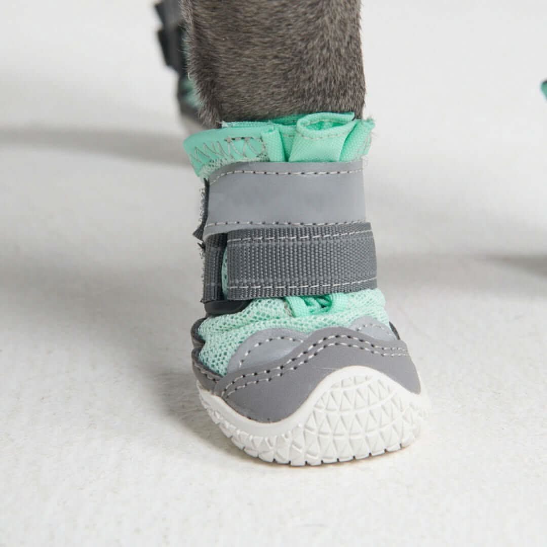 Scarpe per cani Hot Pavement Pawtector - Image 17