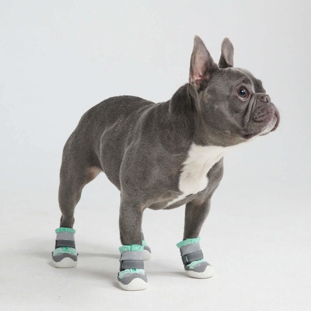 Scarpe per cani Hot Pavement Pawtector - Image 18