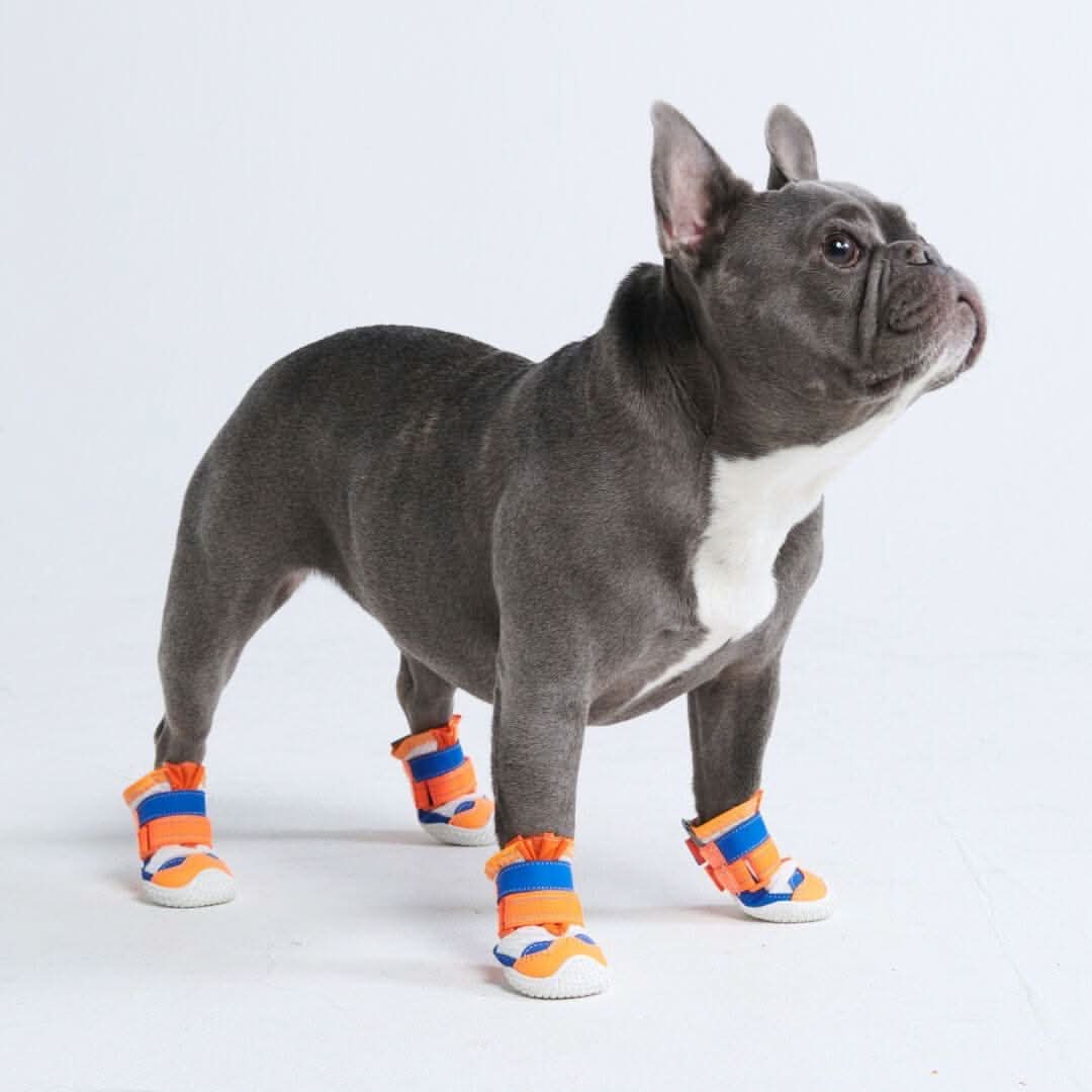 Scarpe per cani Hot Pavement Pawtector - Image 22