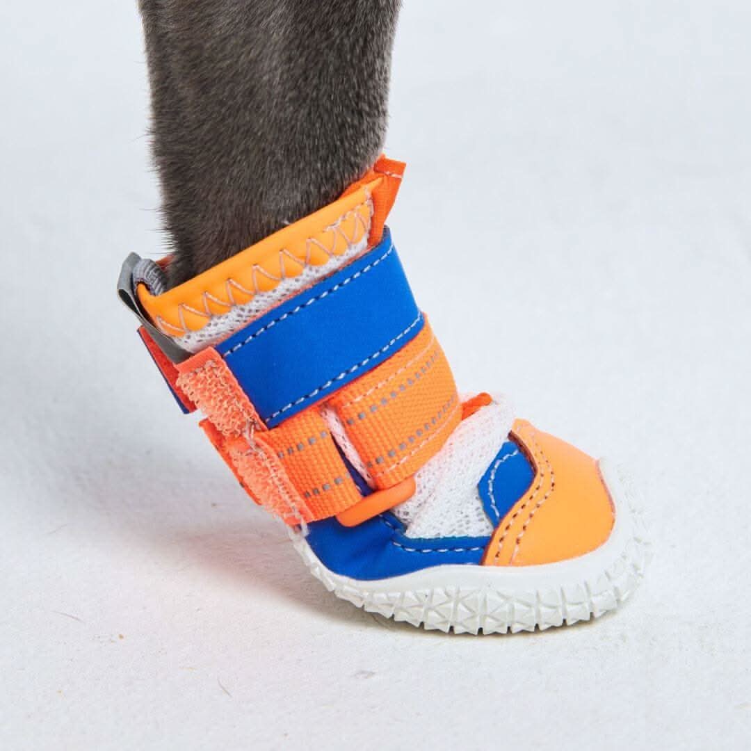 Scarpe per cani Hot Pavement Pawtector - Image 26