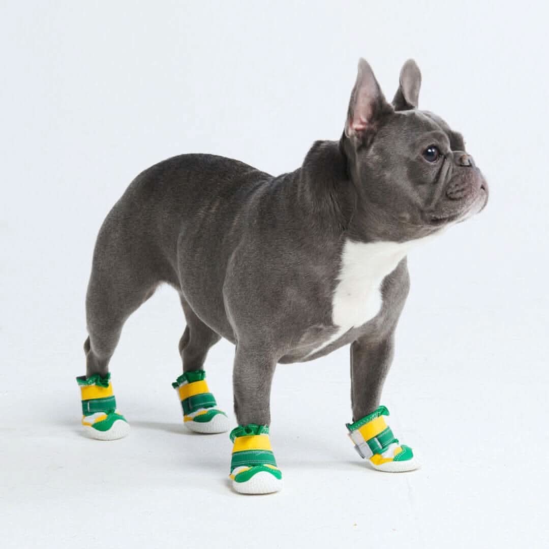 Scarpe per cani Hot Pavement Pawtector - Image 28