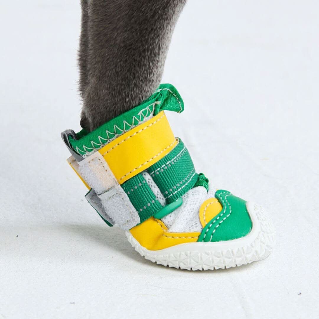 Scarpe per cani Hot Pavement Pawtector - Image 31