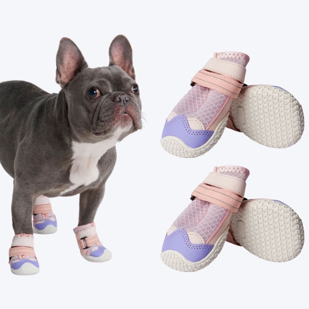 Scarpe per cani Hot Pavement Pawtector - Image 7