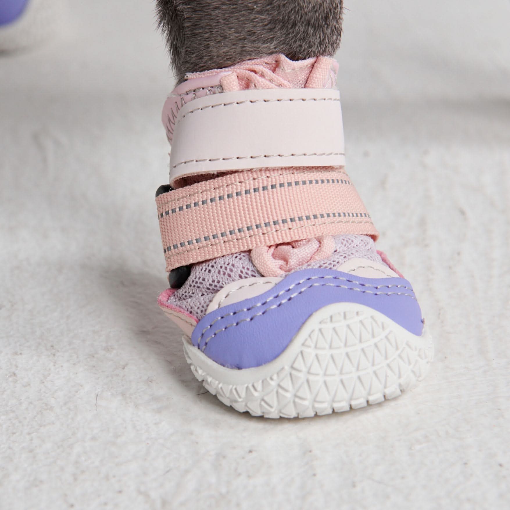 Scarpe per cani Hot Pavement Pawtector - Image 3