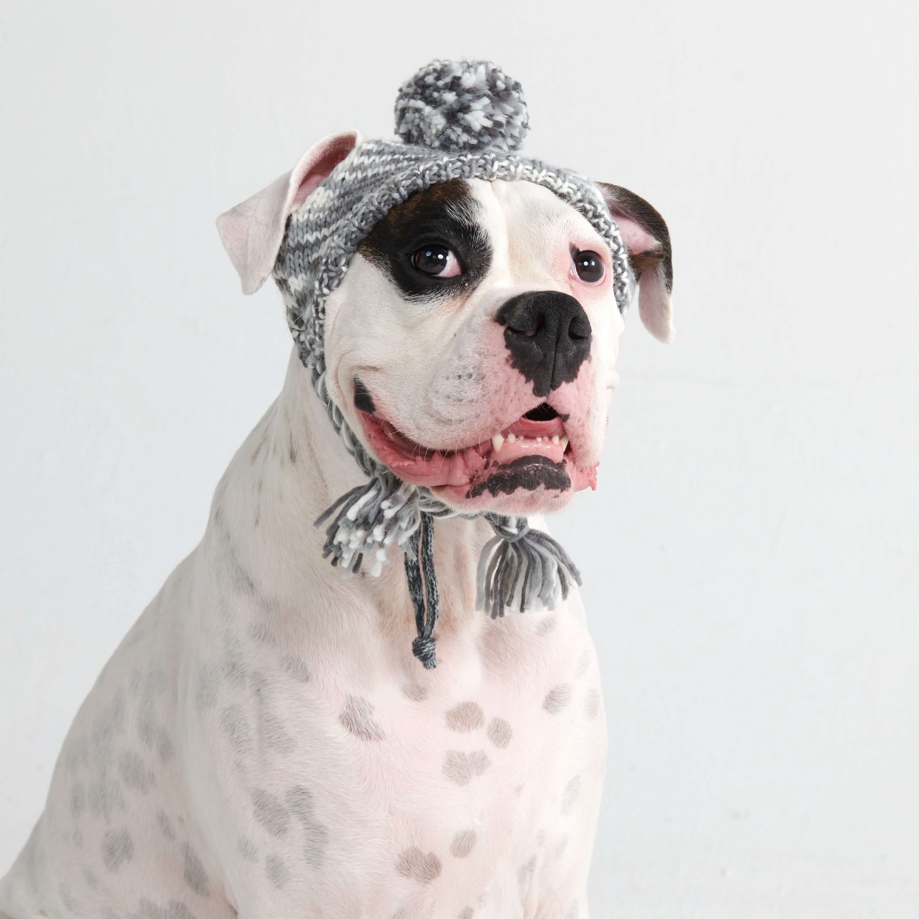 Cappello per cani Pom Pom in Maglia - Image 7