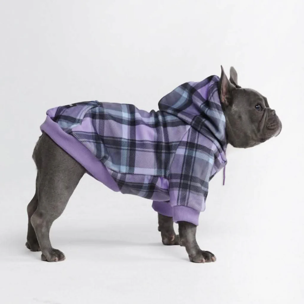 Maglione Plaid per Cani - Quadretti viola - Image 4
