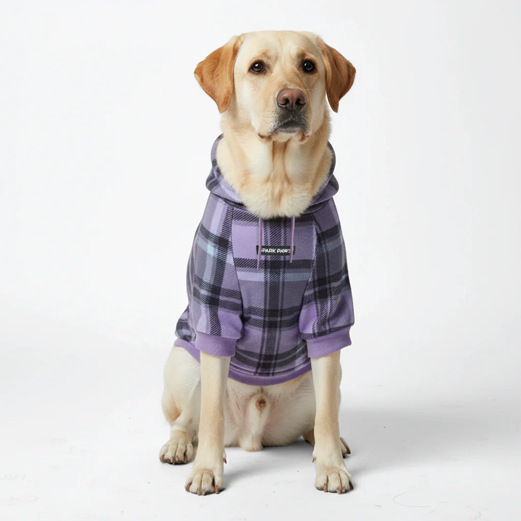 Maglione Plaid per Cani - Quadretti viola - Image 5