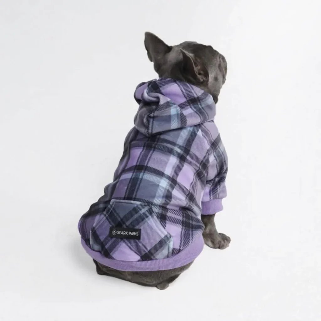 Maglione Plaid per Cani - Quadretti viola - Image 9
