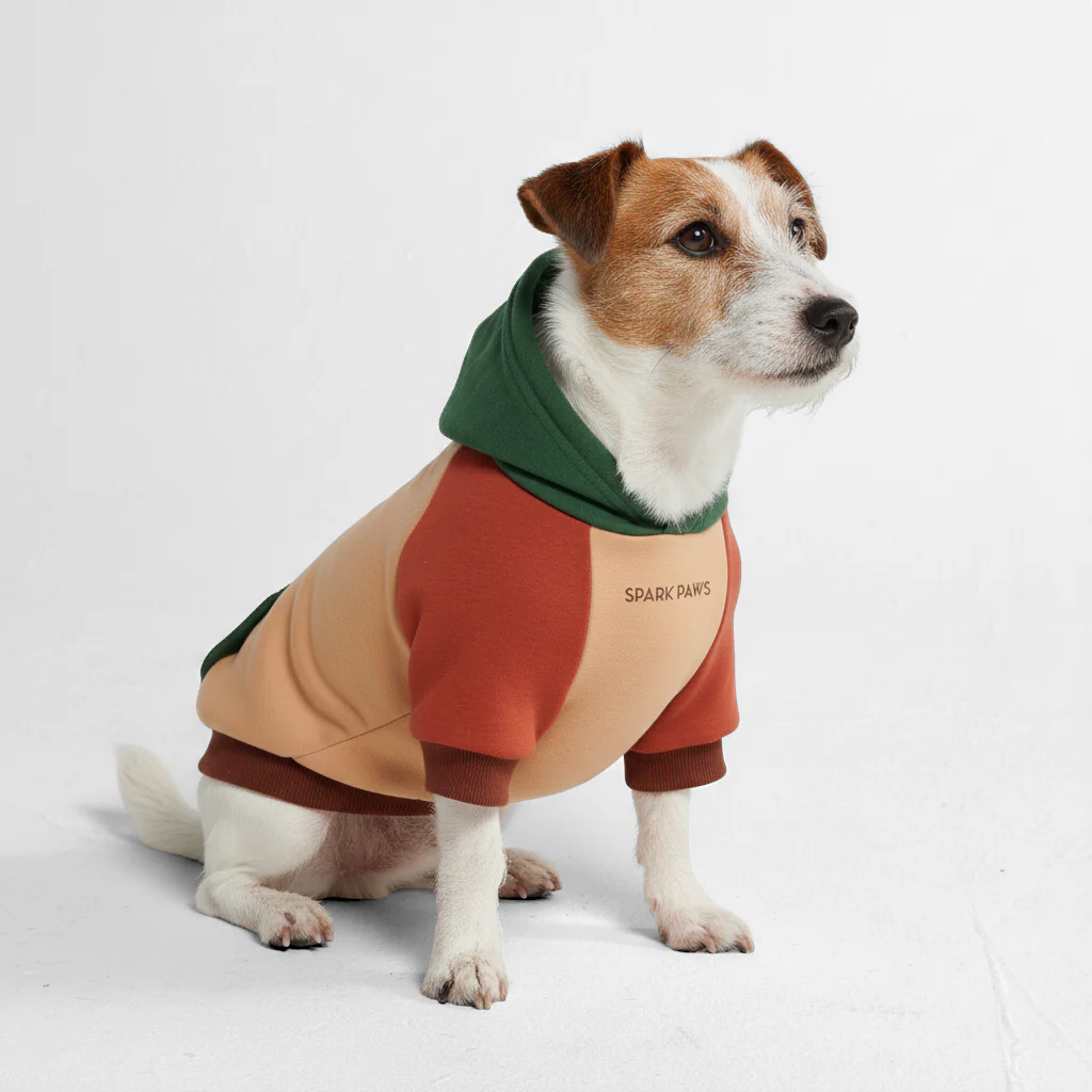 Felpa con cappuccio color block per cani - Image 52
