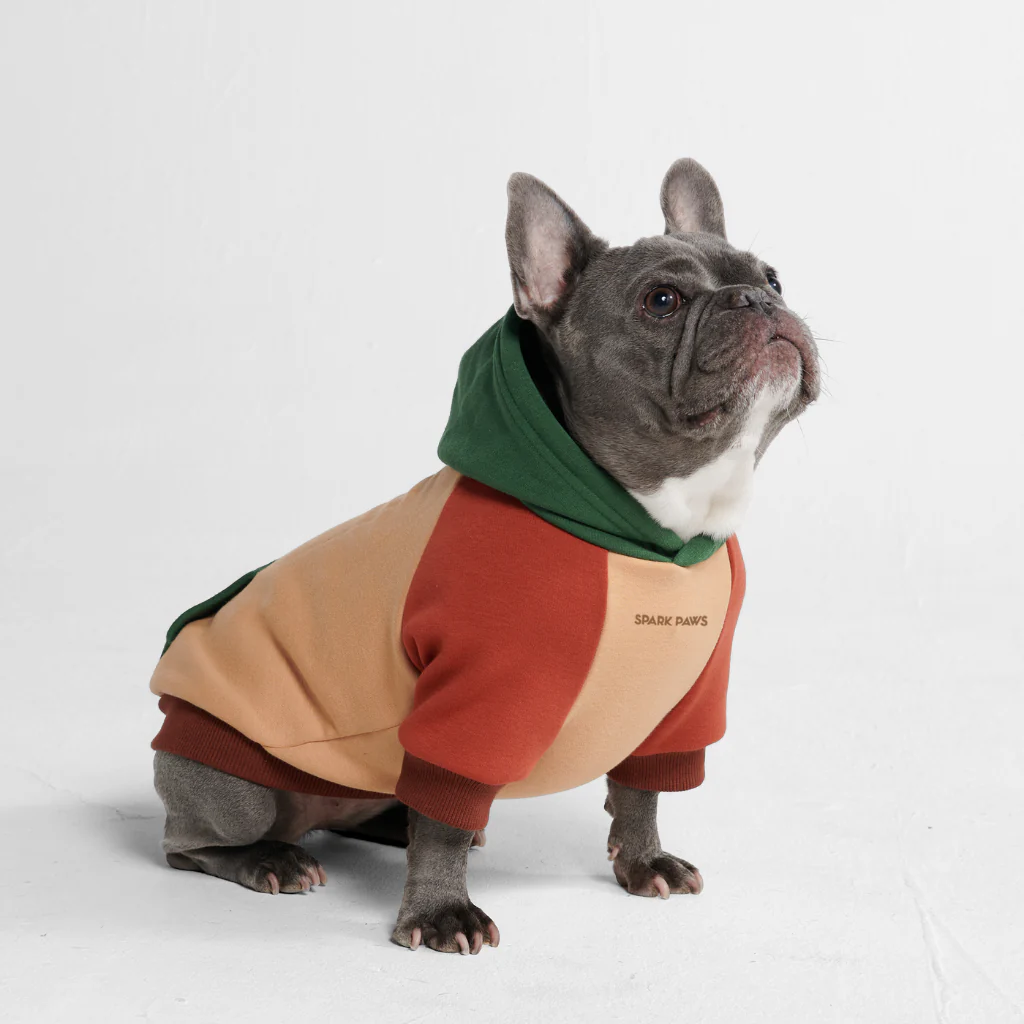 Felpa con cappuccio color block per cani - Image 53