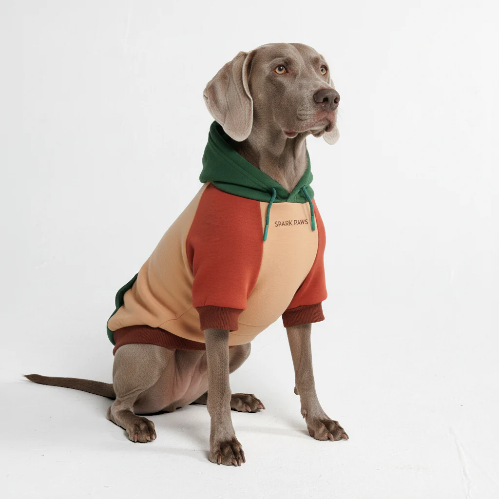 Felpa con cappuccio color block per cani - Image 55