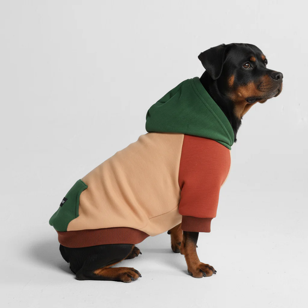 Felpa con cappuccio color block per cani - Image 57