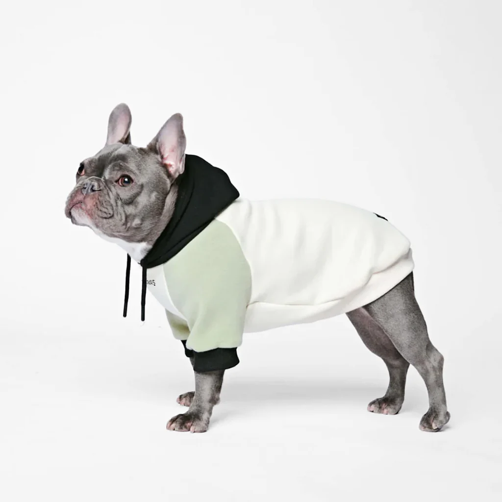 Felpa con cappuccio color block per cani - Image 66