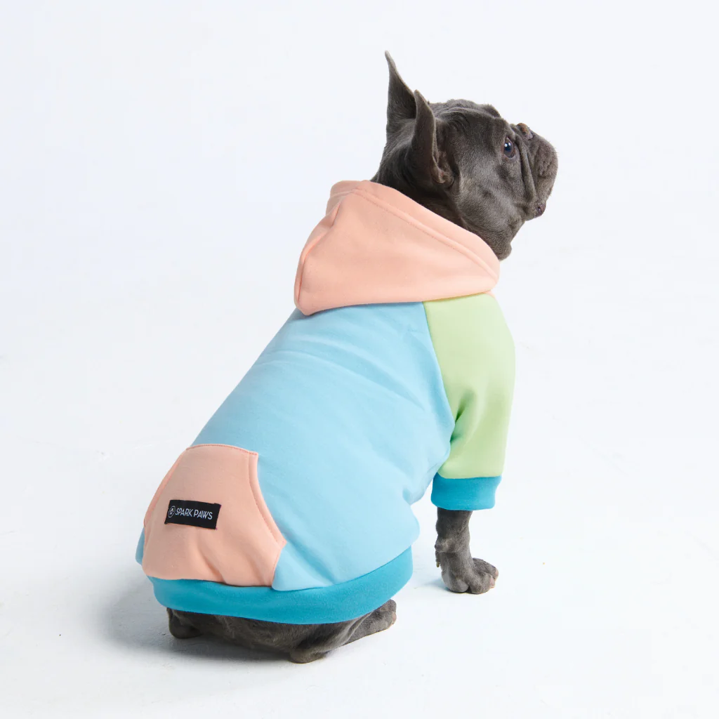 Felpa con cappuccio color block per cani - Image 84