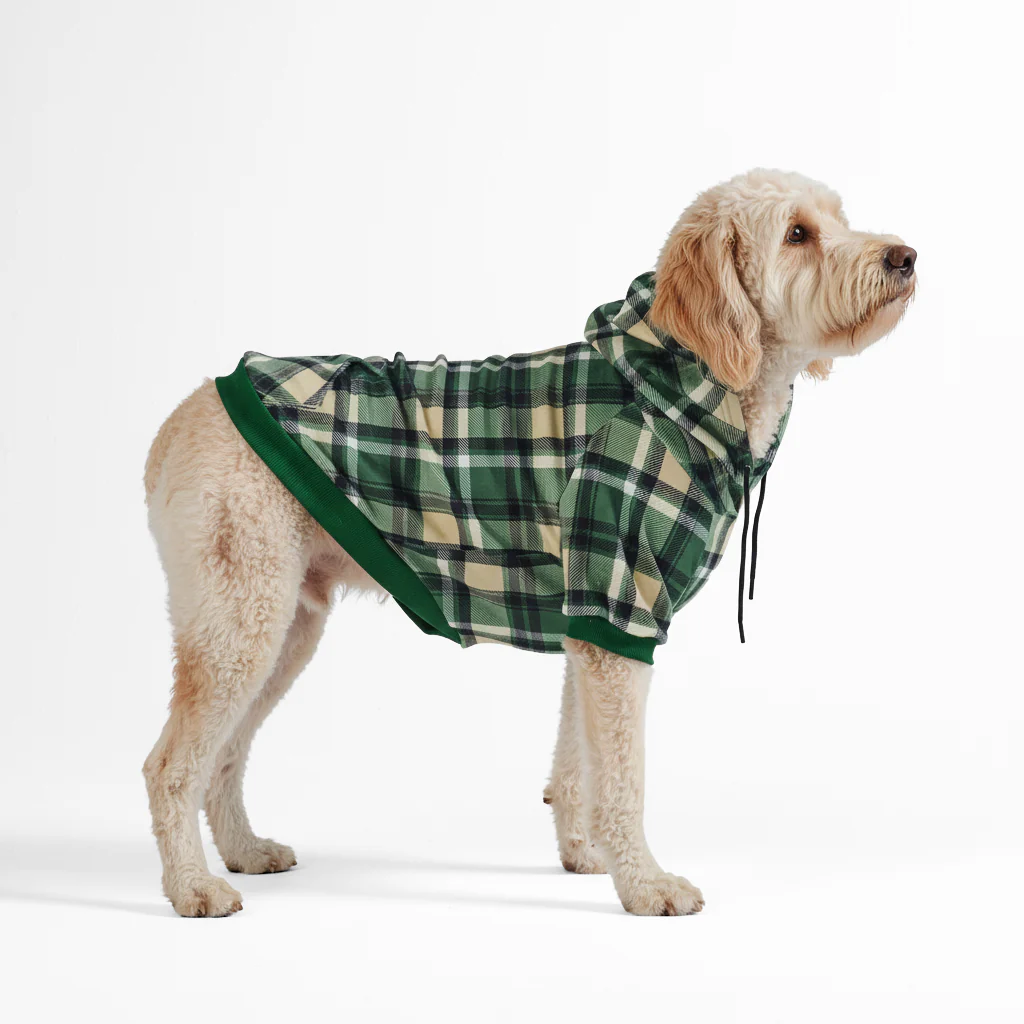 Maglione Plaid per Cani - Quadretti rossi - Image 15