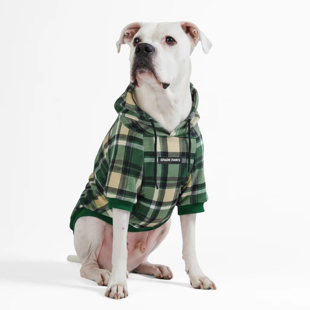 Maglione Plaid per Cani - Quadretti rossi - Image 16