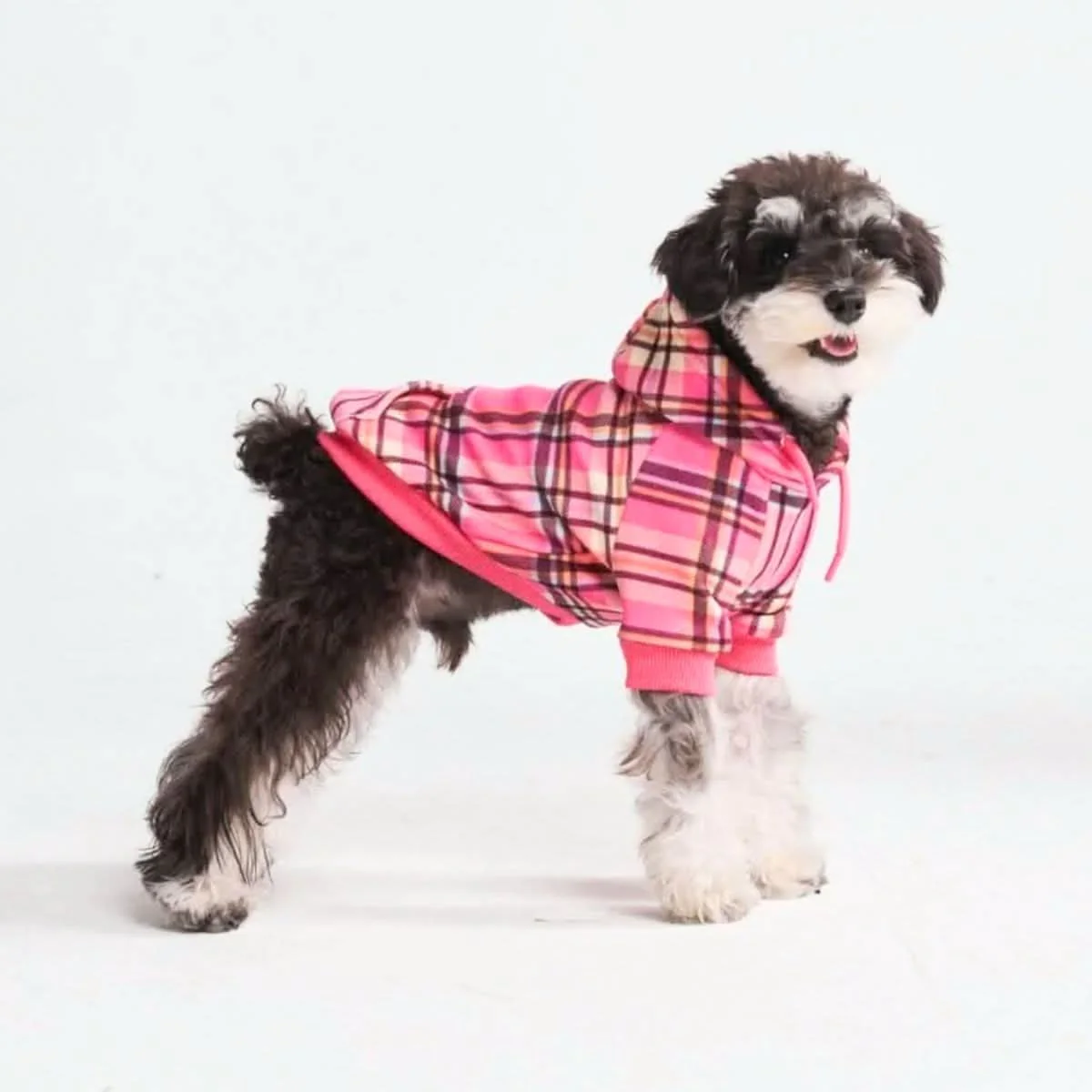 Maglione Plaid per Cani - Quadretti rossi - Image 35