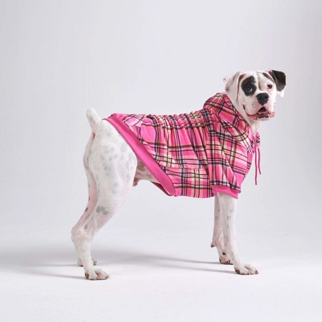 Maglione Plaid per Cani - Quadretti rossi - Image 37