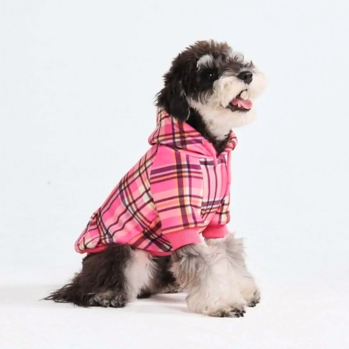 Maglione Plaid per Cani - Quadretti rossi - Image 39