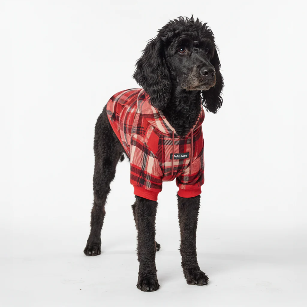 Maglione Plaid per Cani - Quadretti rossi - Image 5