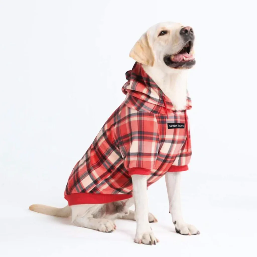 Maglione Plaid per Cani - Quadretti rossi - Image 6