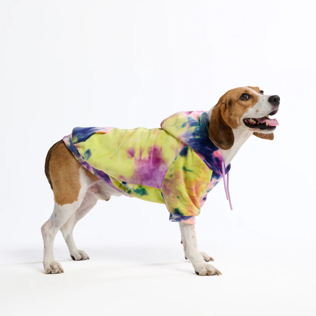 Felpe con cappuccio in velluto per cani - Image 18