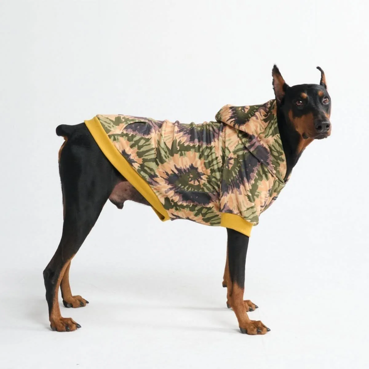 Felpe con cappuccio in velluto per cani - Image 40