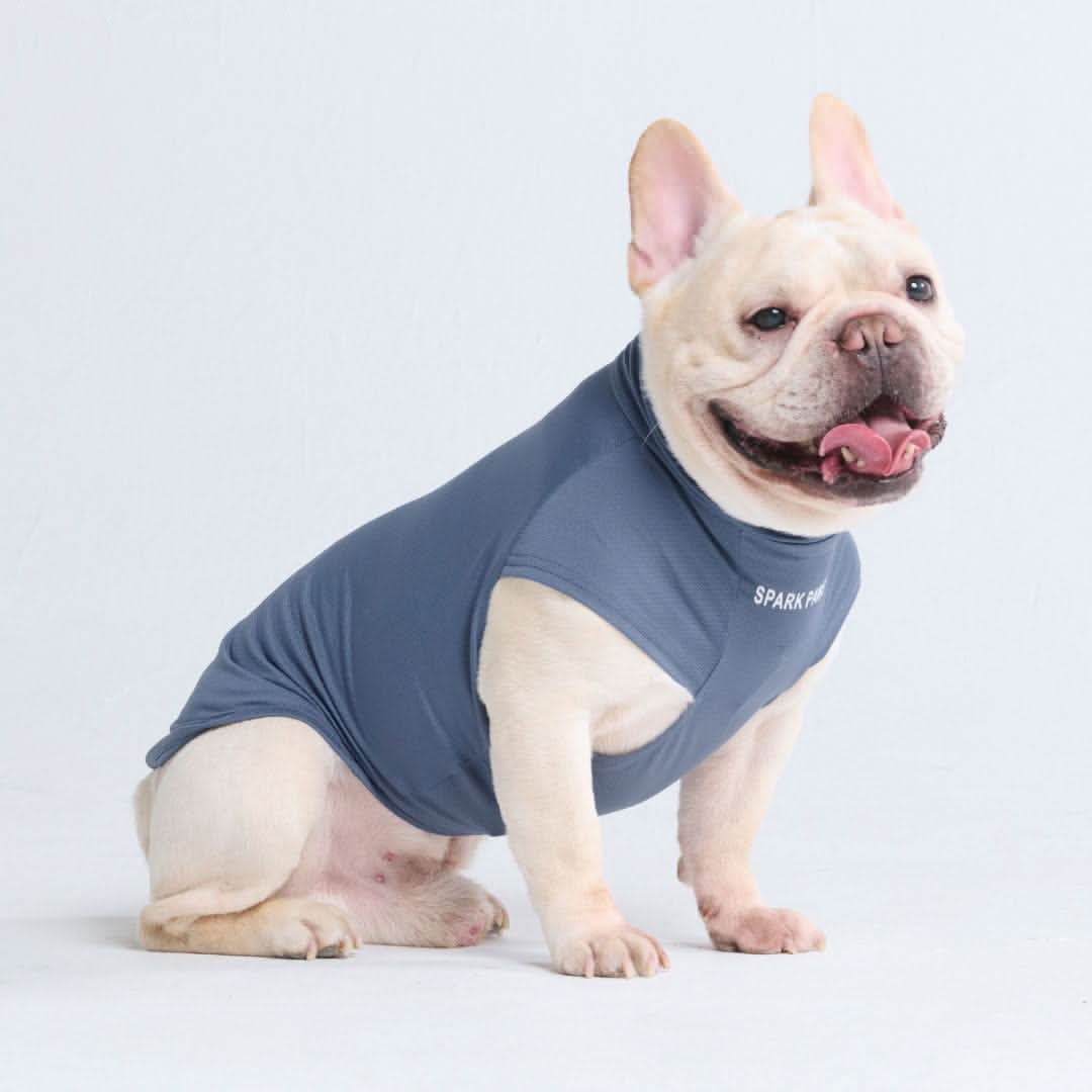 Maglietta per cani con protezione solare - Blu navy - Image 3
