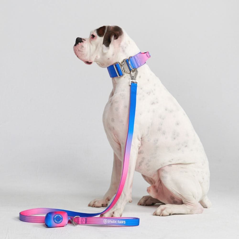 Set di collari tattici per cani - Multicolore (2"/5 cm) - Image 55