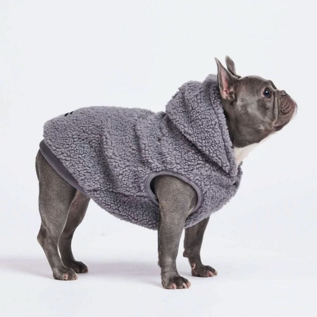 Giacca Teddy Sherpa - Image 18