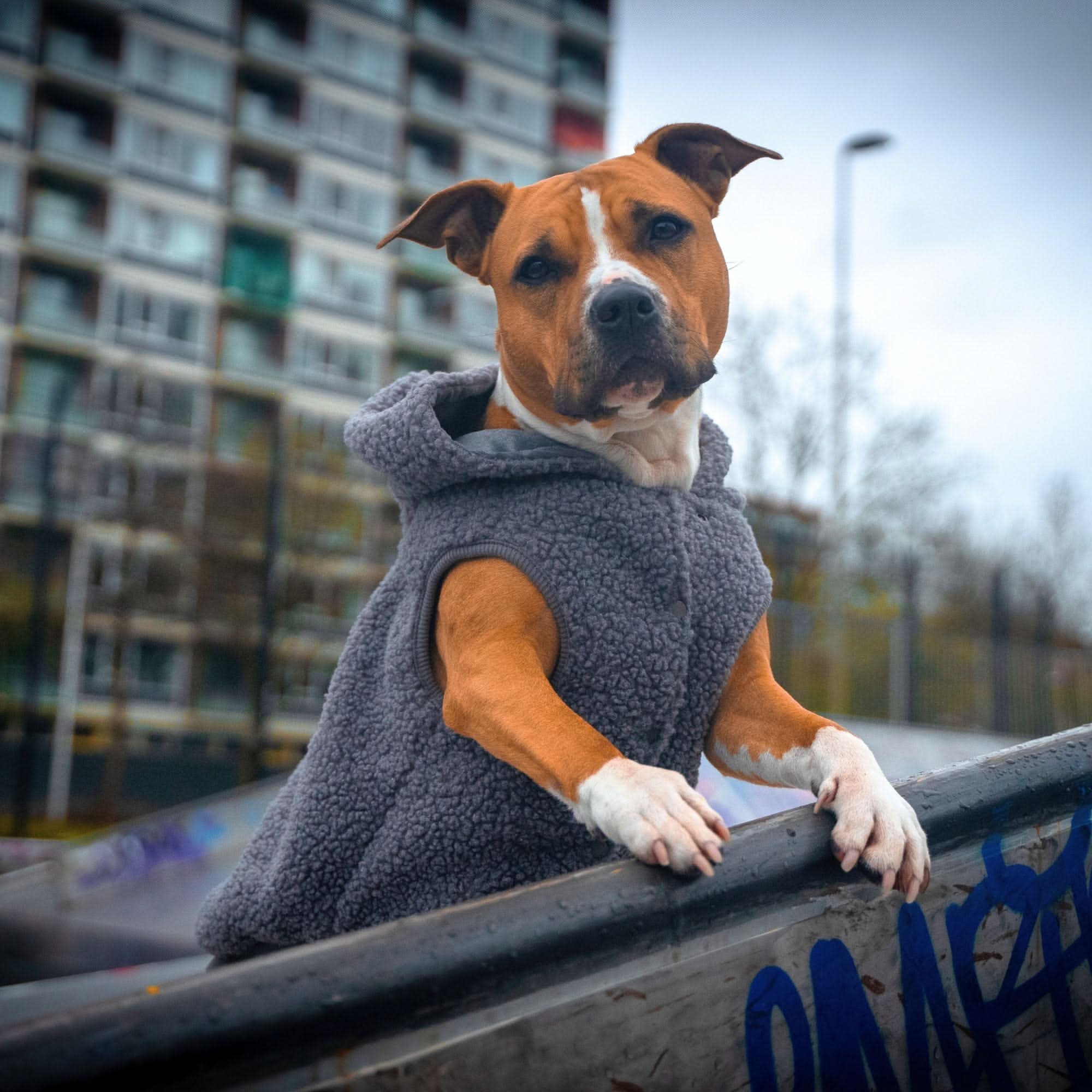 Giacca Teddy Sherpa - Image 19