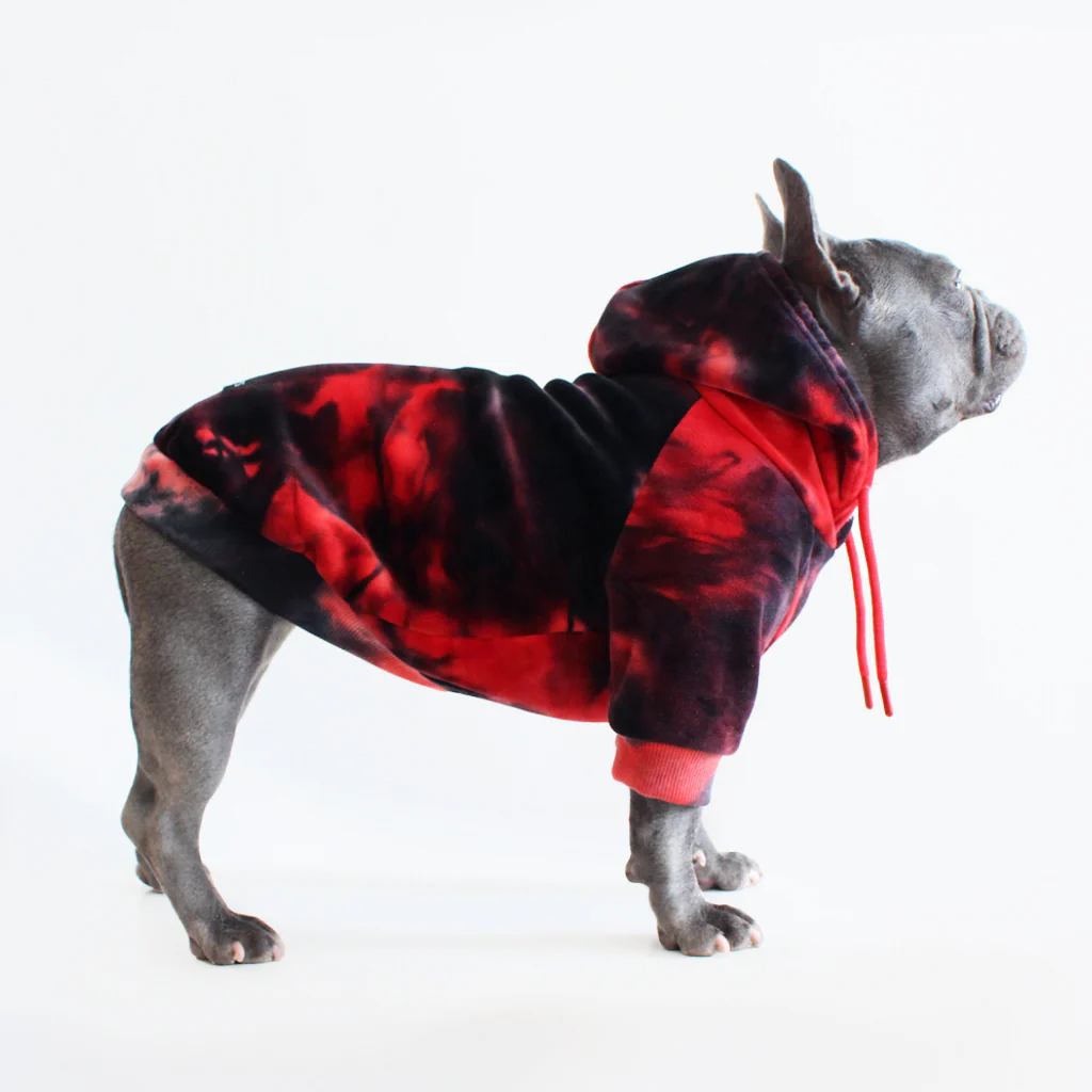 Maglione in Velluto per Cani - Rosso e Nero - Image 3